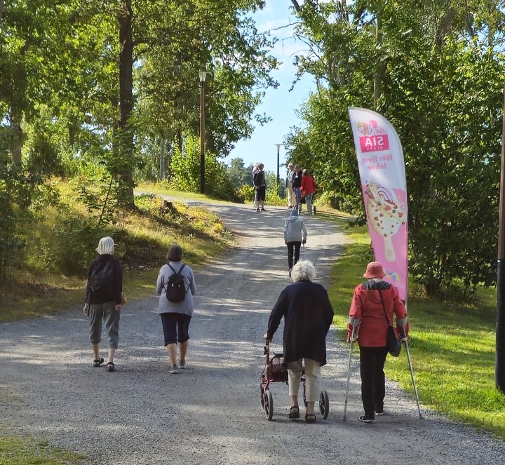 Kvinnor som går uppför en backe